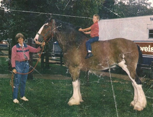 Budweiser Clydesdales Stay At Woodsong Farm - Mid-1980's